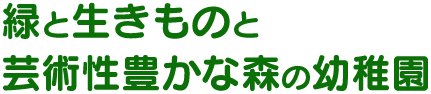 緑と生きものと芸術性豊かな森の幼稚園