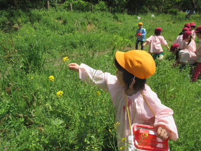 園外施設 みなみ自然教育園での花摘み・蝶々探し